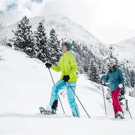 In Kaltenbach Near Lift Appartement Stumm